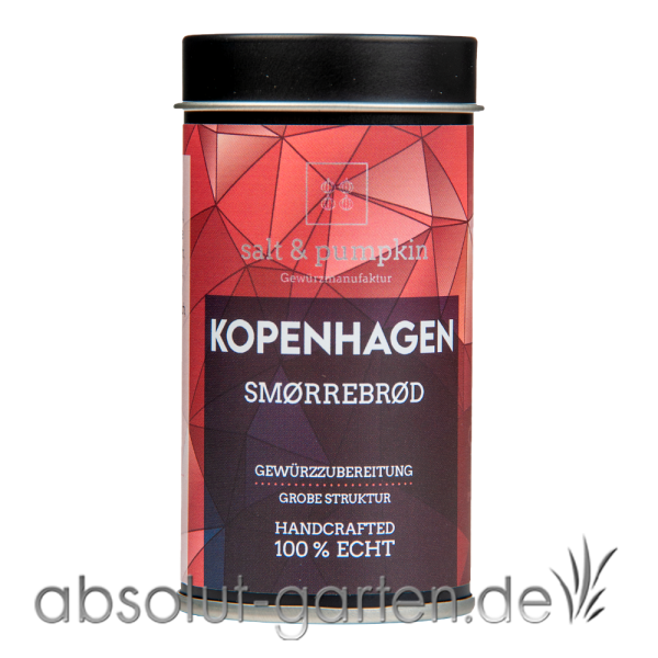 KOPENHAGEN - Smørrebrød salt & pumpkin